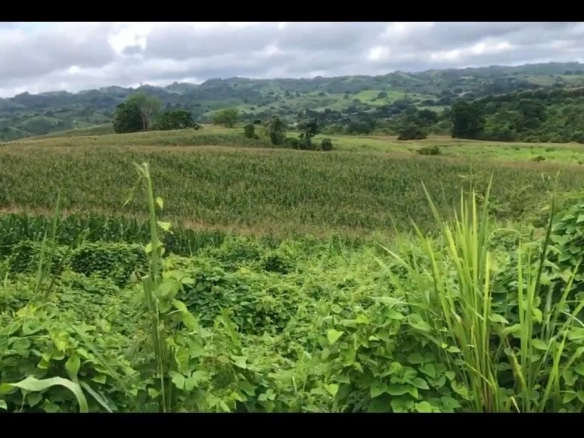 Terreno en venta, via Guayas – Manabi VanC