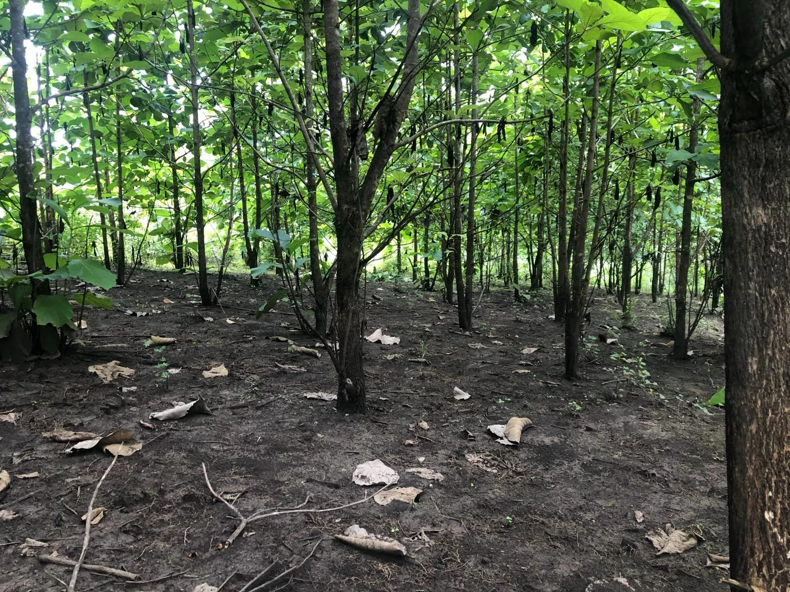 Terreno en venta, via Guayas – Manabi VanC