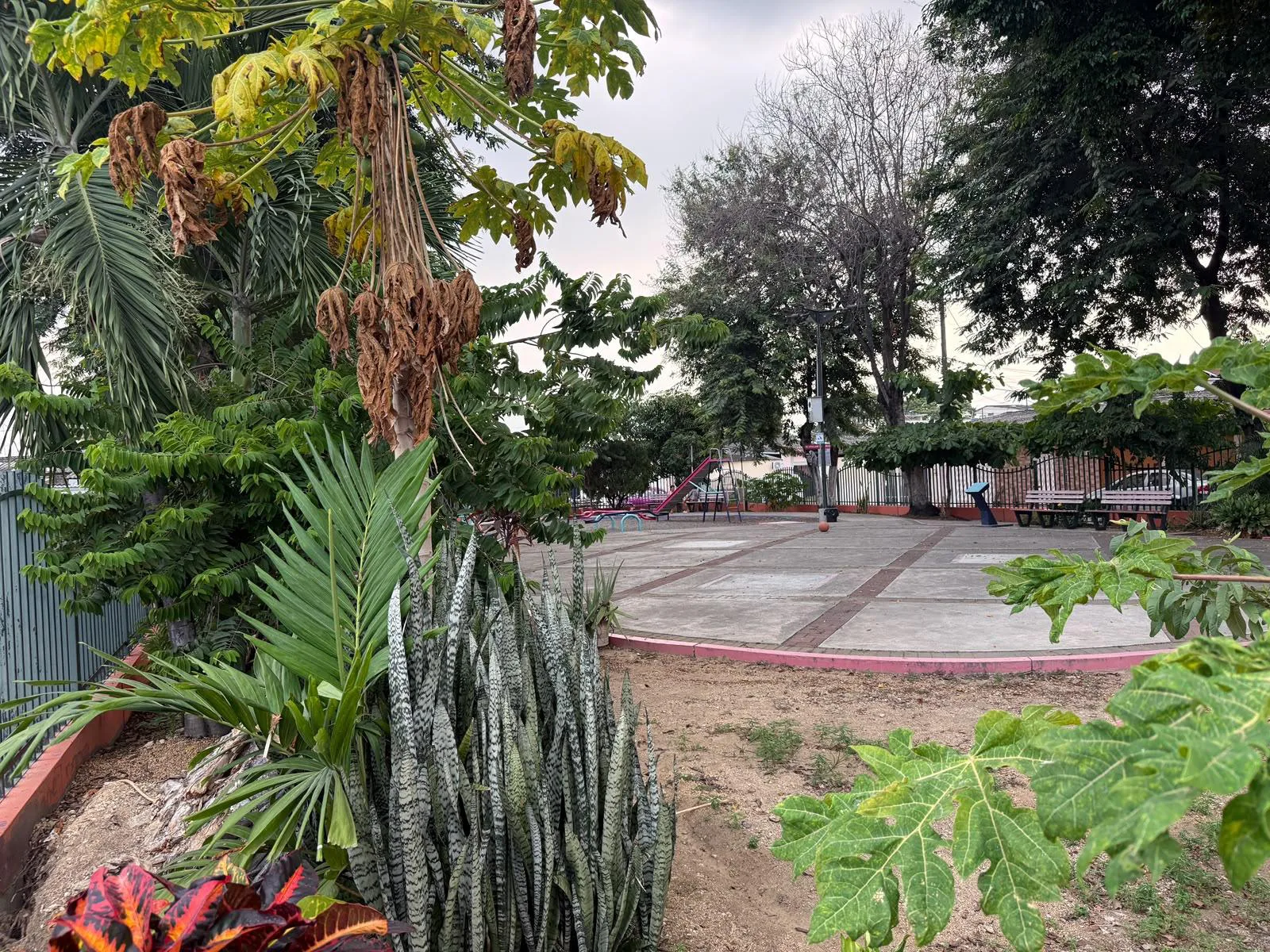 Se vende casa de una planta en Cdla Guayacanes JosS