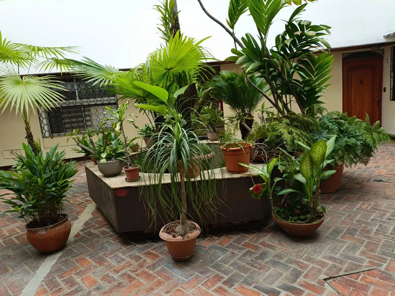 Departamento Amoblado en Alquiler, Cdla. Kennedy Vieja, atras del CC Las Vitrinas, EliC
