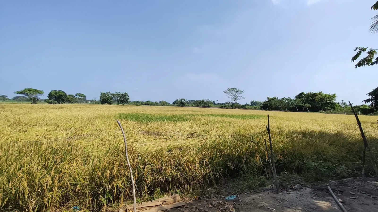 Finca de 1.4 Ha en venta, cantón Baba sector Las Mercedes RonR