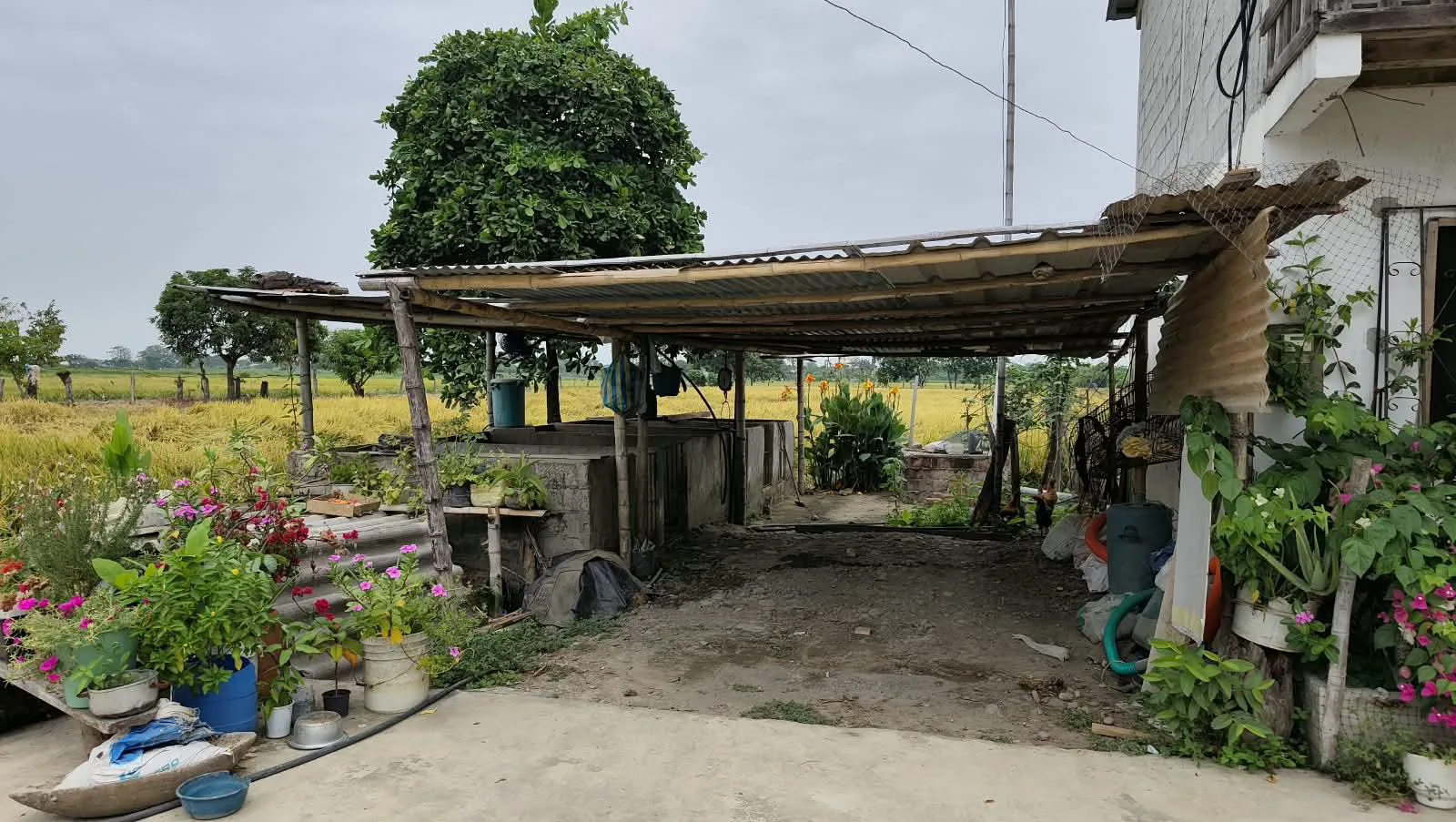 Finca de 1.4 Ha en venta, cantón Baba sector Las Mercedes RonR