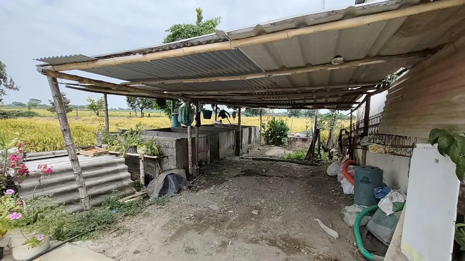 Finca de 1.4 Ha en venta, cantón Baba sector Las Mercedes RonR
