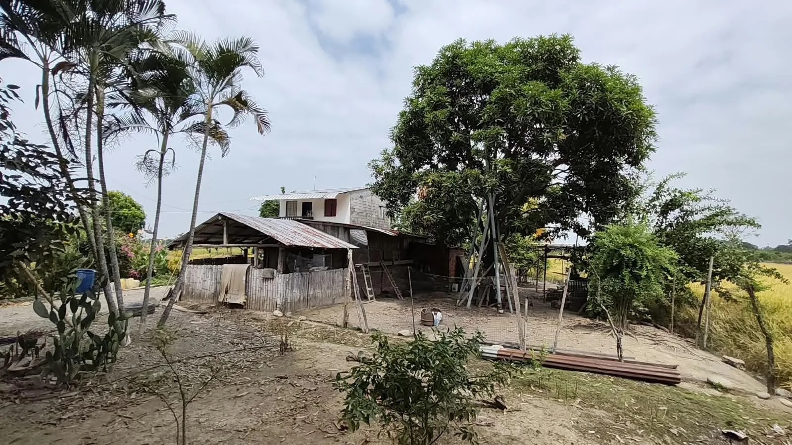 Finca de 1.4 Ha en venta, cantón Baba sector Las Mercedes RonR
