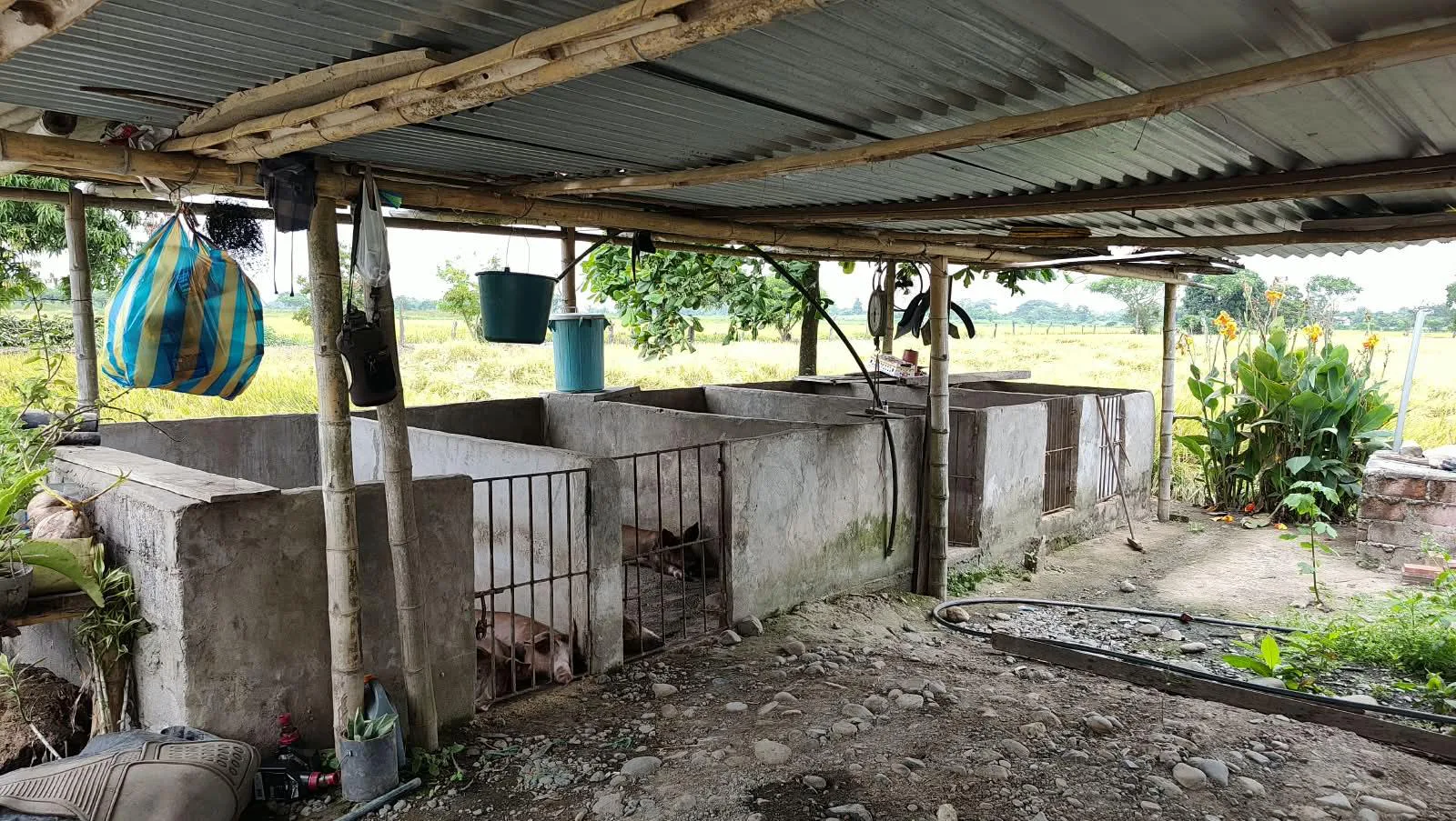 Finca de 1.4 Ha en venta, cantón Baba sector Las Mercedes RonR