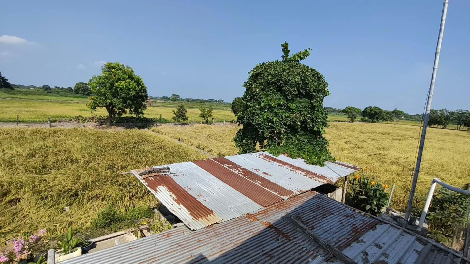 Finca de 1.4 Ha en venta, cantón Baba sector Las Mercedes RonR
