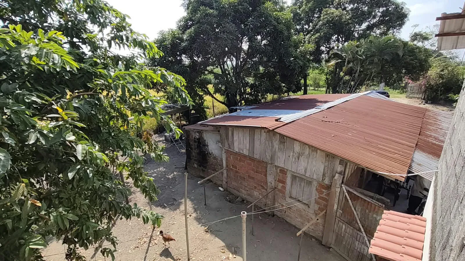 Finca de 1.4 Ha en venta, cantón Baba sector Las Mercedes RonR