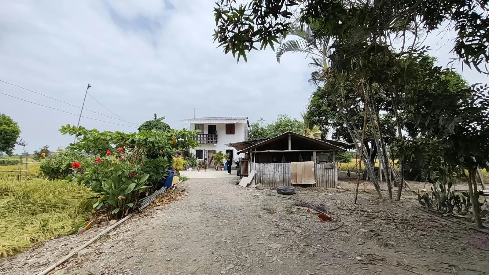 Finca de 1.4 Ha en venta, cantón Baba sector Las Mercedes RonR
