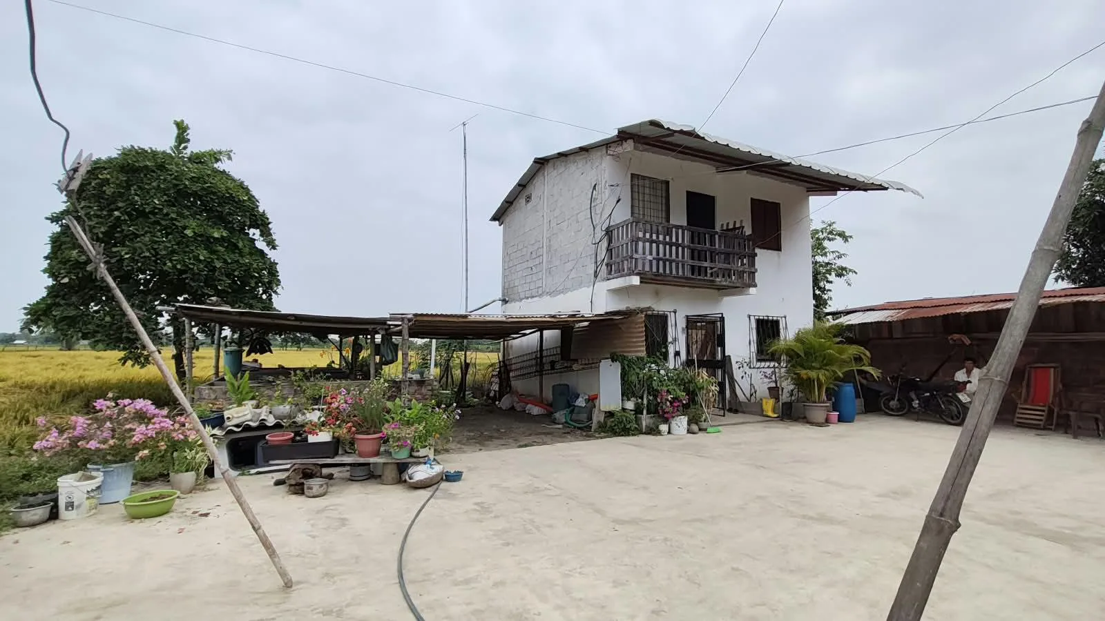 Finca de 1.4 Ha en venta, cantón Baba sector Las Mercedes RonR