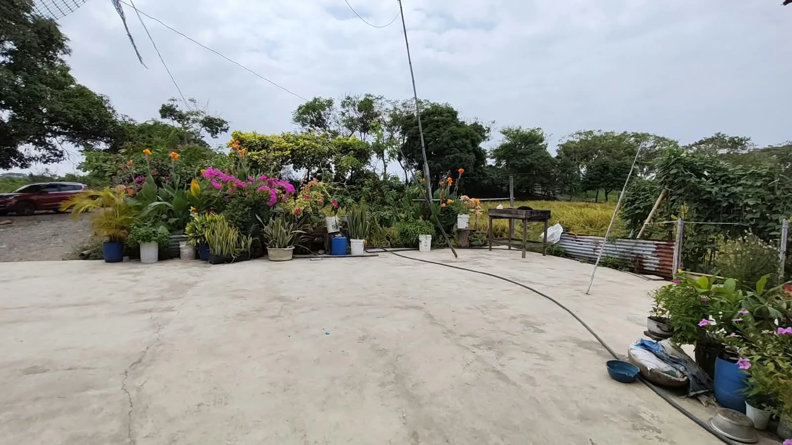 Finca de 1.4 Ha en venta, cantón Baba sector Las Mercedes RonR