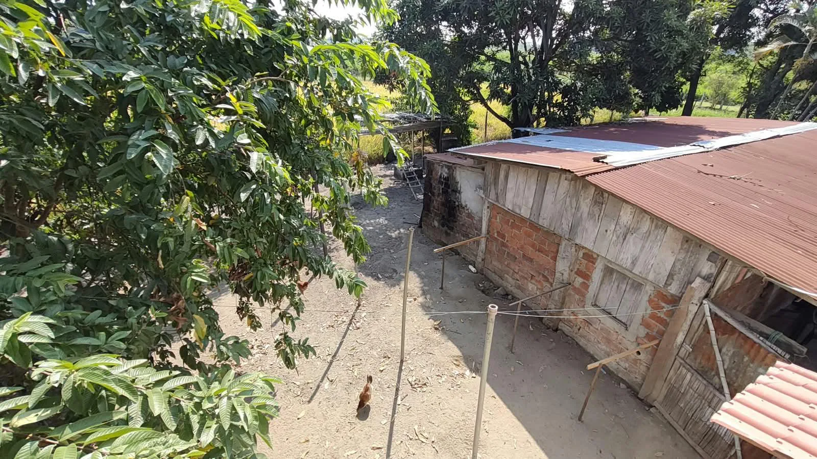 Finca de 1.4 Ha en venta, cantón Baba sector Las Mercedes RonR