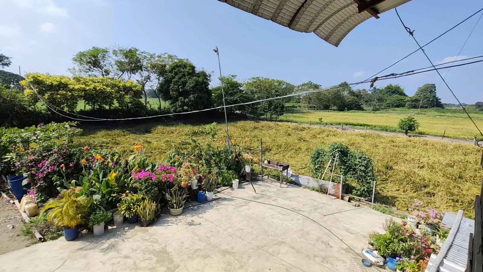 Finca de 1.4 Ha en venta, cantón Baba sector Las Mercedes RonR