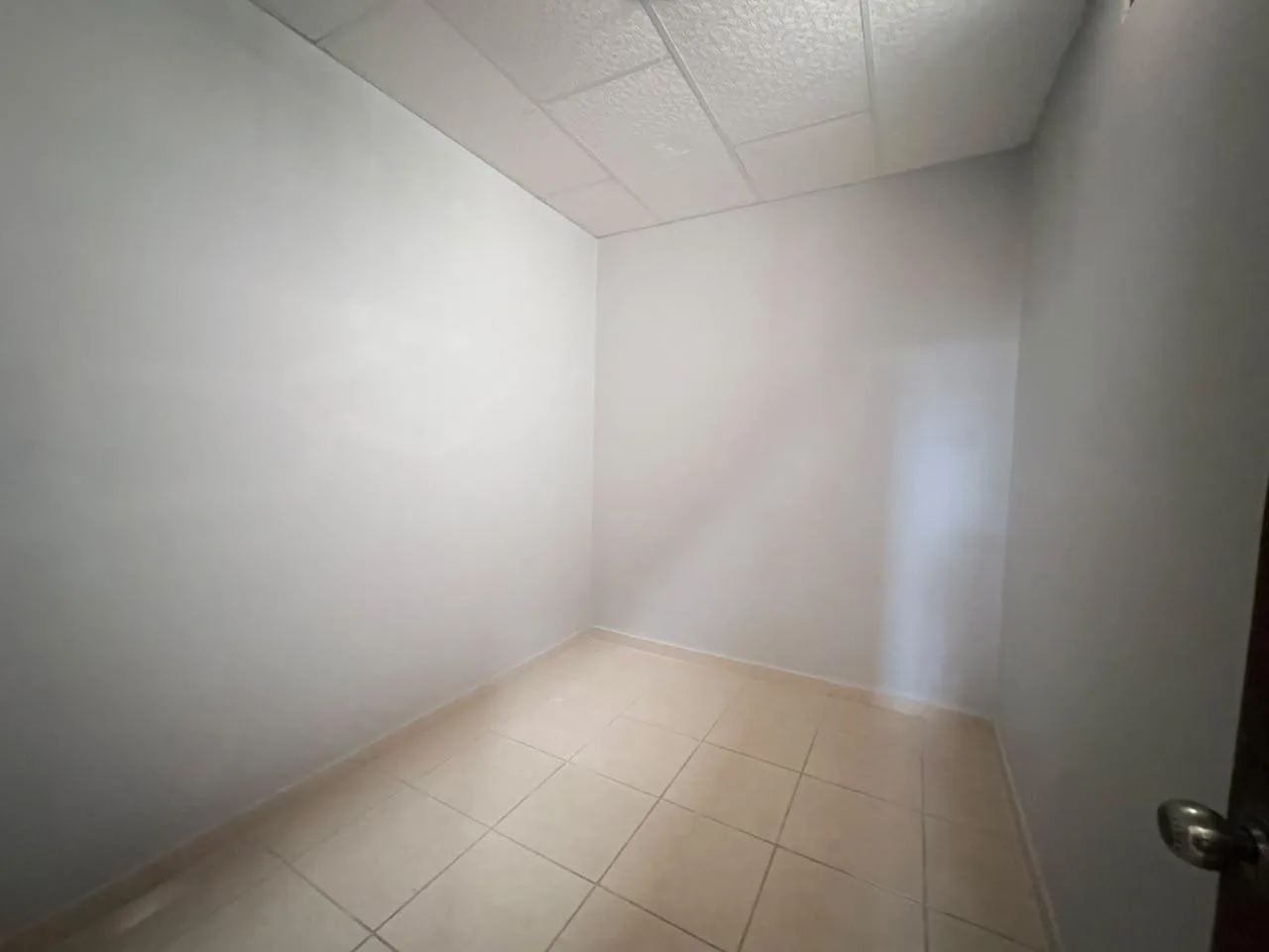 Departamento en alquiler en Orquideas EliMo