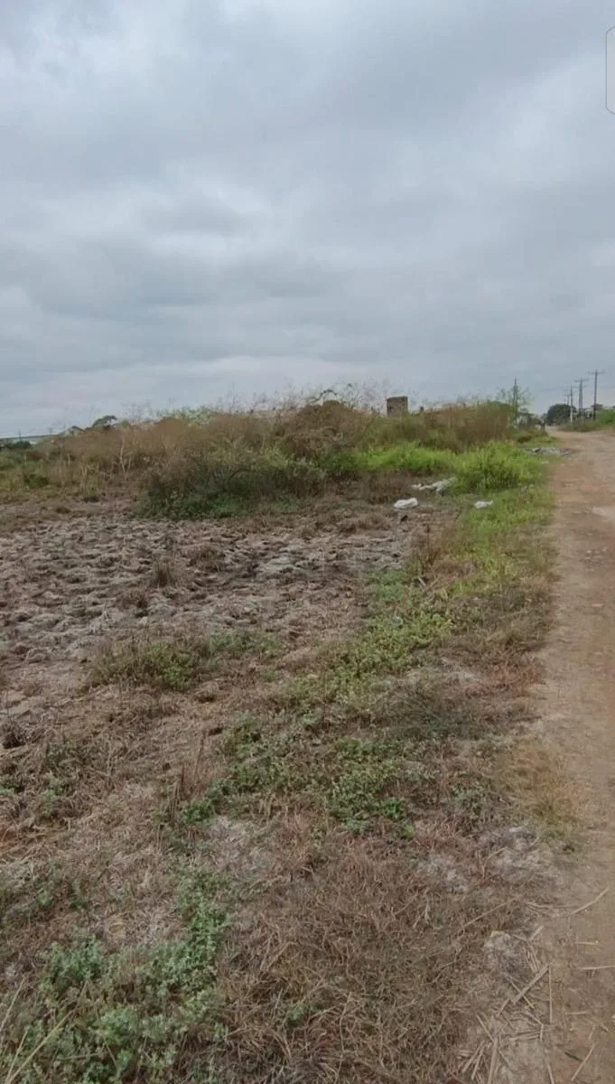 Venta Terreno 1400 mts2 Durán Fincas Delia GinS