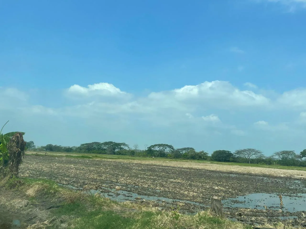 Terreno industrial en venta, Via Duran Taura, Rosa Elvira, CyP