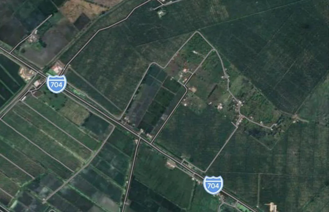 Terreno industrial en venta, Via Duran Taura, Rosa Elvira, CyP